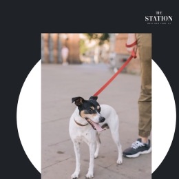 Instagram post from @thestationwny on May 06, 2025 00:00:00am Instagram post from @thestationwny on May 06, 2025 00:00:00am